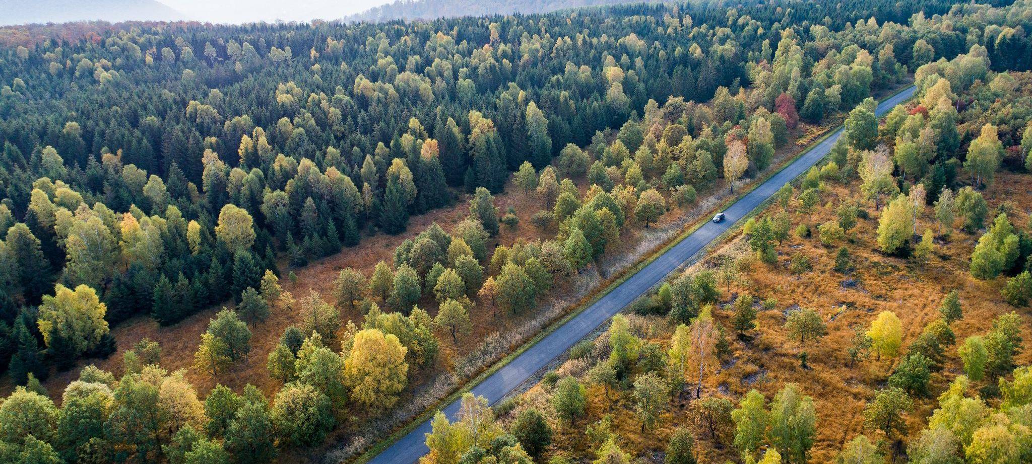 Forscher fordern CO2-Entnahmen